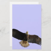 Flying Bald Eagle Wildlife Gift Briefpapier (Voorkant / Achterkant)