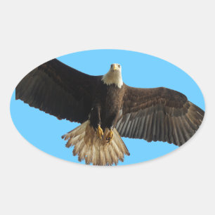 Flying Bald Eagle Wildlife Gift Ovale Sticker