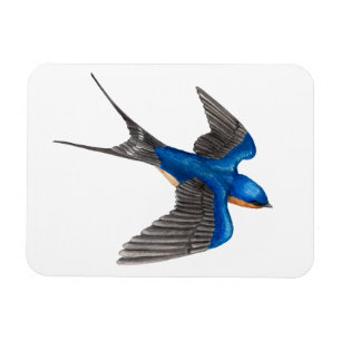 Flying Barn Swallow Flexi Magnet Magneet