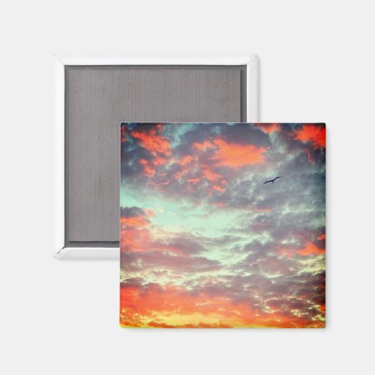 Flying Bird in Clouds Photo Magneet (Voorkant / Achterkant)