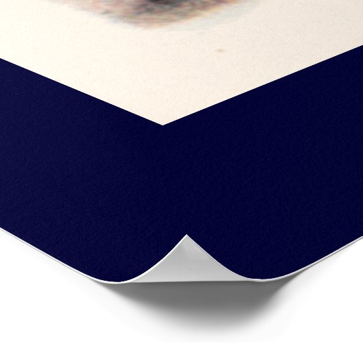 Flying Bird With Flowers Poster (Hoek)