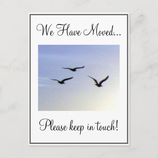 Flying Birds Adreswijziging Briefkaart (Voorkant)