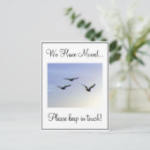 Flying Birds Adreswijziging Briefkaart (Staand voorkant)