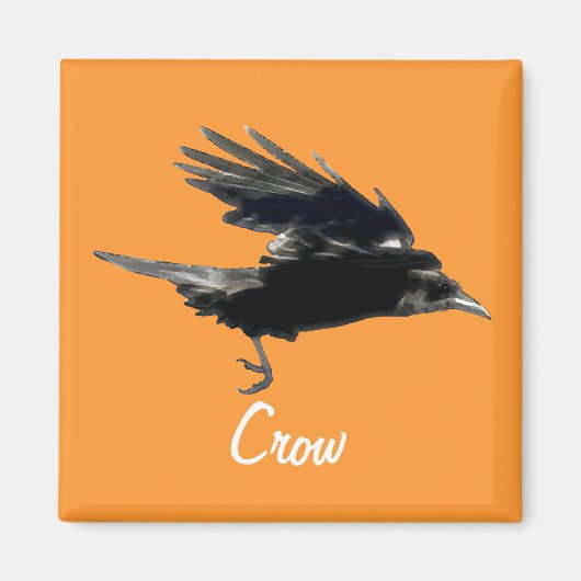 Flying Black Crow Birdlover Magnet (Voorkant)