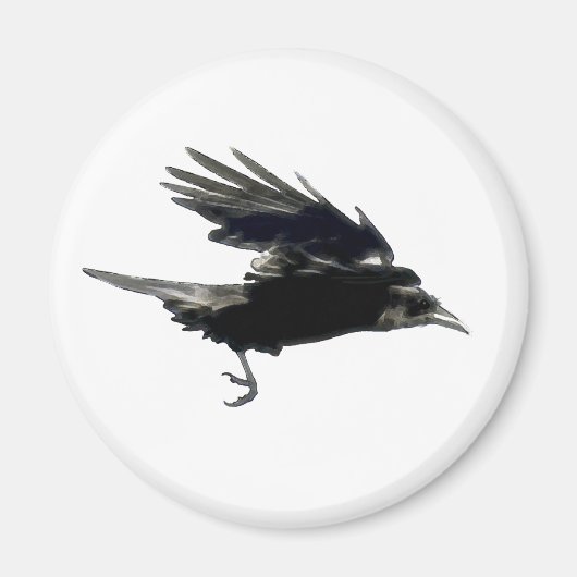 Flying Black Crow Birdlover Magnet (Voorkant)