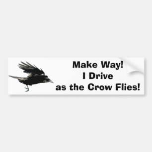 Flying Black Crow Wildlife Art Bumpersticker