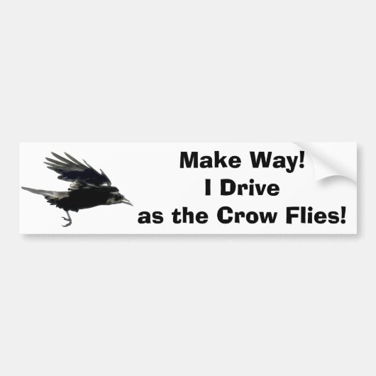 Flying Black Crow Wildlife Art Bumpersticker (Voorkant)