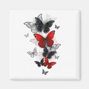 Flying Black en Red Morpho Vlinders Magneet