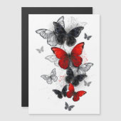 Flying Black en Red Morpho Vlinders Magnetische Uitnodiging (Voorkant / Achterkant)