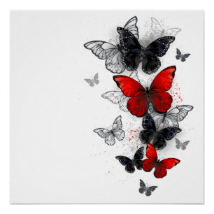 Flying Black en Red Morpho Vlinders Perfect Poster