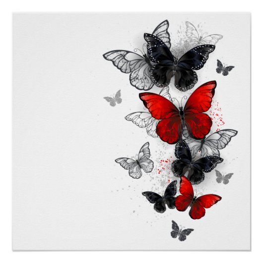 Flying Black en Red Morpho Vlinders Perfect Poster (Voorkant)