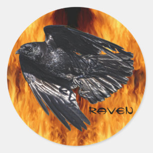 Flying Black Raven & Flames Photo Design 7 Ronde Sticker