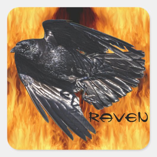 Flying Black Raven & Flames Photo Design 7 Vierkante Sticker (Voorkant)