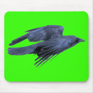 Flying Black Raven Gothic, Celtic, Willife Muismat