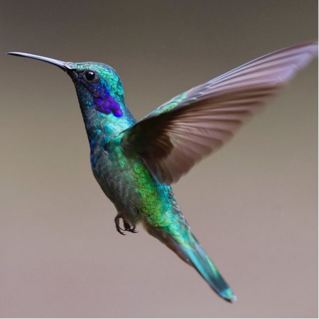 Flying Blue & Green Bird Sculpure Staand Fotobeeldje (Voorkant)