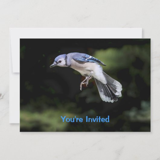 Flying Blue Jay Kaart (Voorkant)