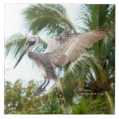 Flying Brown Pelican Landing Tile Tegeltje (Voorkant)
