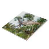 Flying Brown Pelican Landing Tile Tegeltje (Zijkant)