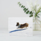 Flying Cardigan Welsh Corgi Briefkaart (Staand voorkant)