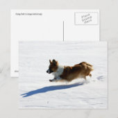 Flying Cardigan Welsh Corgi Briefkaart (Voorkant / Achterkant)