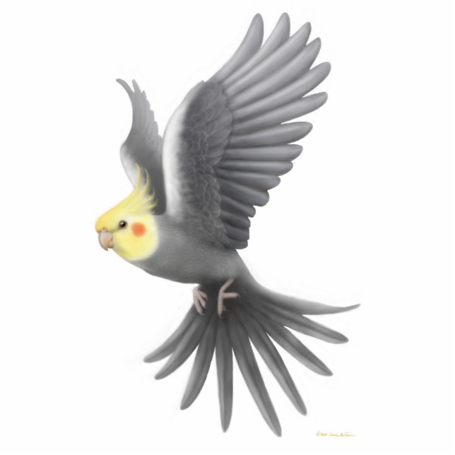 Flying Cockatiel Holiday Ornament Fotobeeldje Ornament (Voorkant)