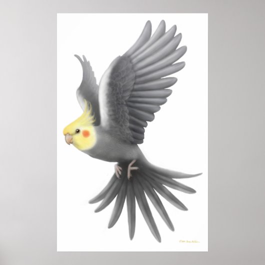 Flying Cockatiel Parrot Poster (Voorkant)