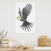 Flying Cockatiel Parrot Poster (Keuken)