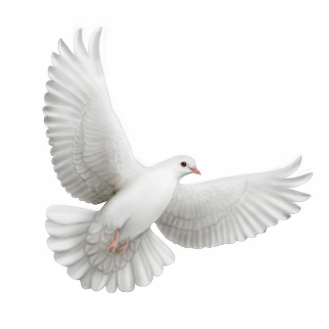 Flying Dove Ornament Fotobeeldje Ornament (Voorkant)