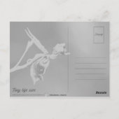 Flying Duck Orchid Flower Macro Photography Briefkaart (Achterkant)