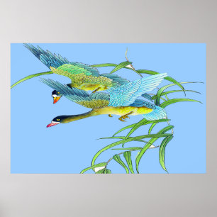 Flying Ducks poster Drawing 2