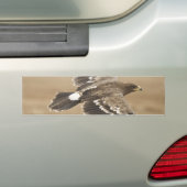 Flying Eagle Bird Bumpersticker (Op auto)
