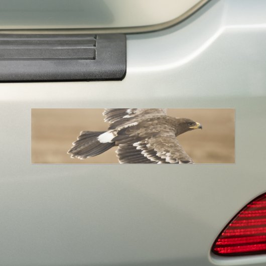 Flying Eagle Bird Bumpersticker (Op auto)