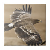 Flying Eagle Bird Tile Tegeltje (Voorkant)