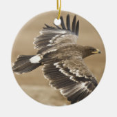 Flying Eagle Ornament (Voorkant)
