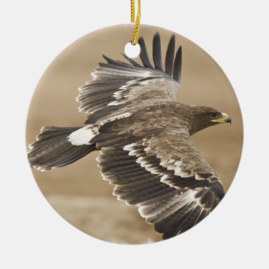 Flying Eagle Ornament (Voorkant)