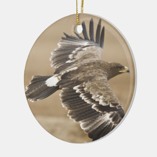 Flying Eagle Ornament (Links)