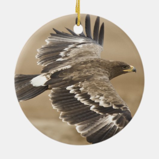 Flying Eagle Ornament (Achterkant)