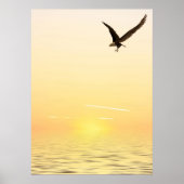 Flying Eagle Poster (Voorkant)