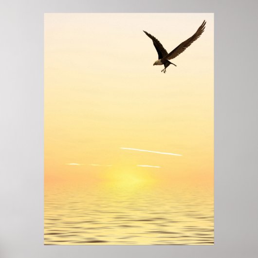 Flying Eagle Poster (Voorkant)