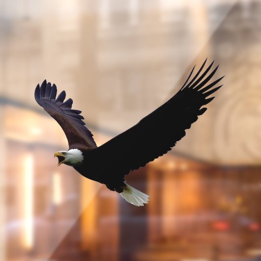 Flying Eagle Raamsticker (Vel 2)