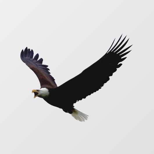 Flying Eagle Raamsticker (Vel)