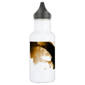 Flying Eagle Waterfles (Links)