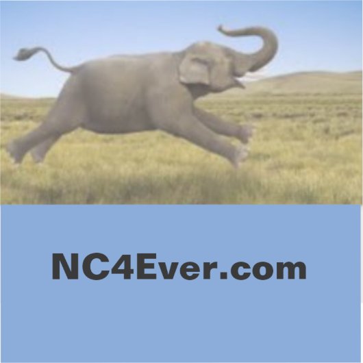 Flying Elephant Laptop Sticker vanaf NC4Ever.com (Voorkant)