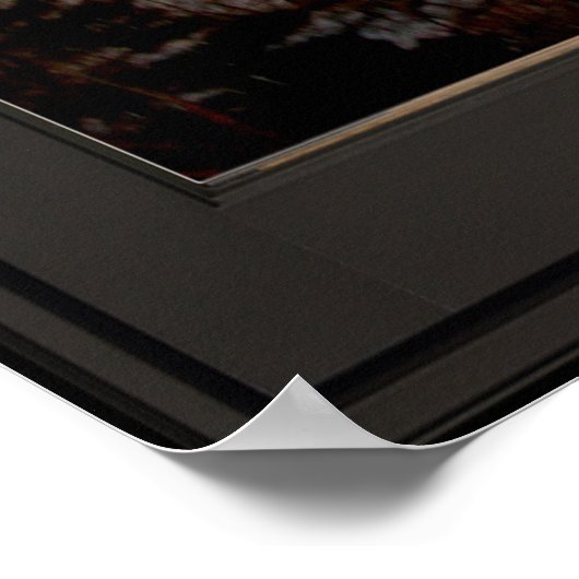 Flying Faux Window Illusion 24x24 Black Poster (Hoek)