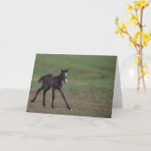 Flying Filly: galopperen naar Freedom Wenskaart Kaart (Gele Bloem)