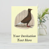 Flying Flight Red Pet Pigeon Kaart (Staand voorkant)