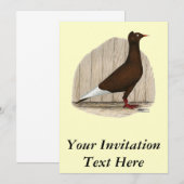 Flying Flight Red Pet Pigeon Kaart (Voorkant / Achterkant)