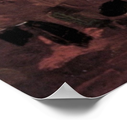 Flying Fox door Vincent van Gogh Poster (Hoek)