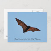 Flying Fox fruitbat of Subic Bay Briefkaart (Voorkant / Achterkant)