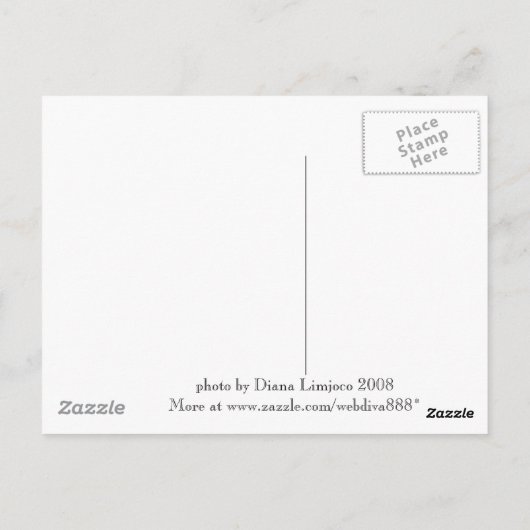 Flying Fox fruitbat of Subic Bay Briefkaart (Achterkant)